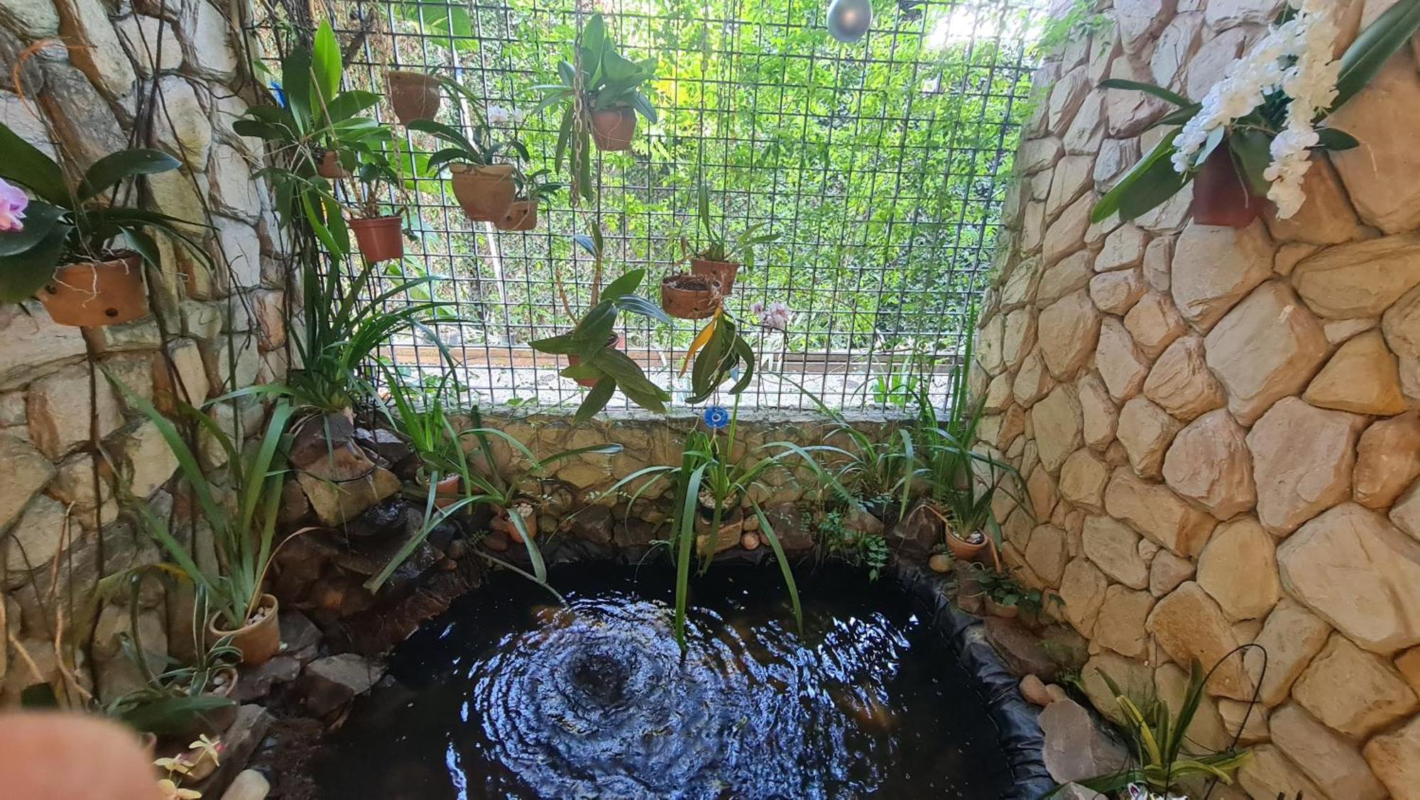 Palmeira Imperial Recife